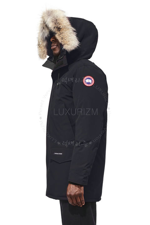 canada goose8-1021-2.jpg