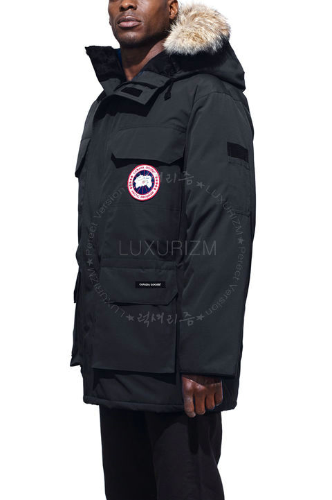 canada goose11-1103-2.jpg