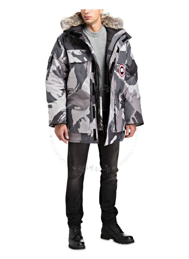 canada goose12-1103-1.jpg