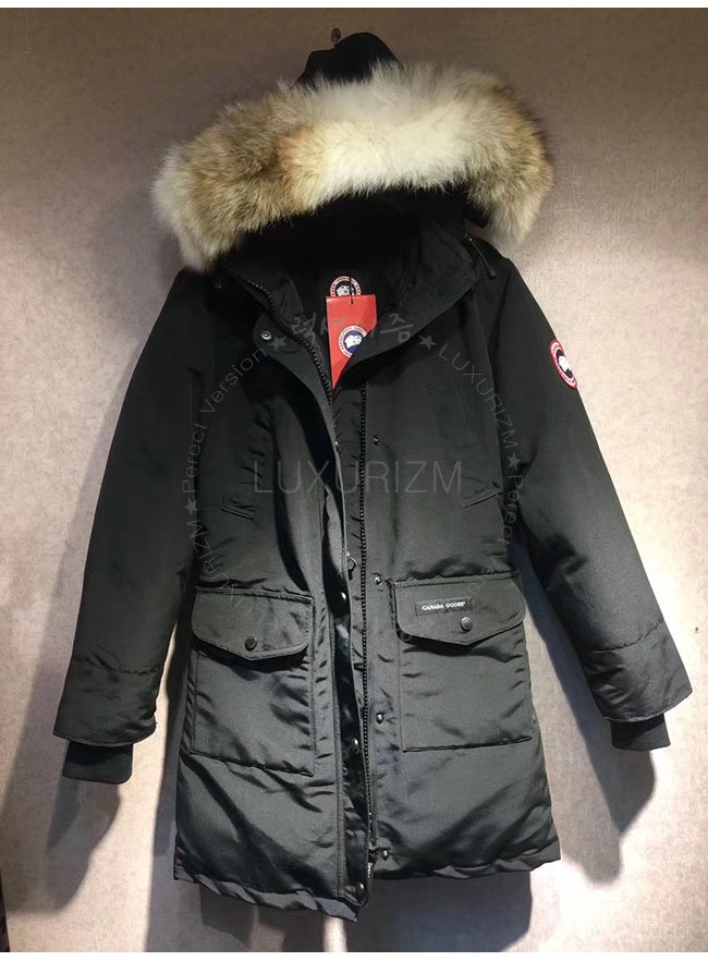 canada goose14-1103-6.jpg