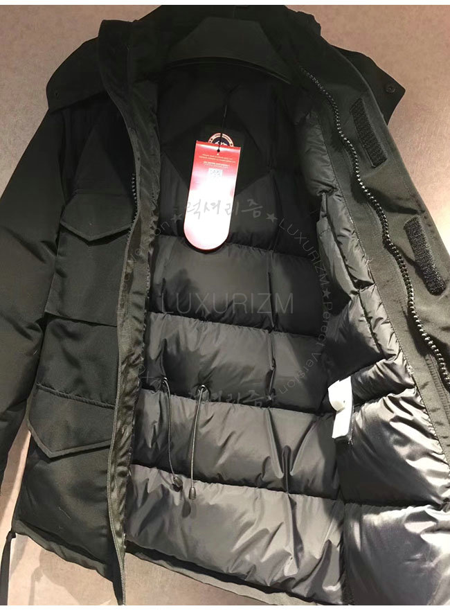 canada goose7-1103-7.jpg