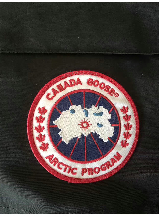 canada goose8-1103-12.jpg