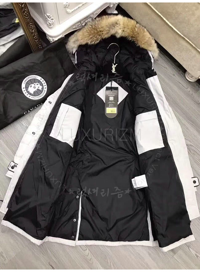 canada goose3-1107-6.jpg