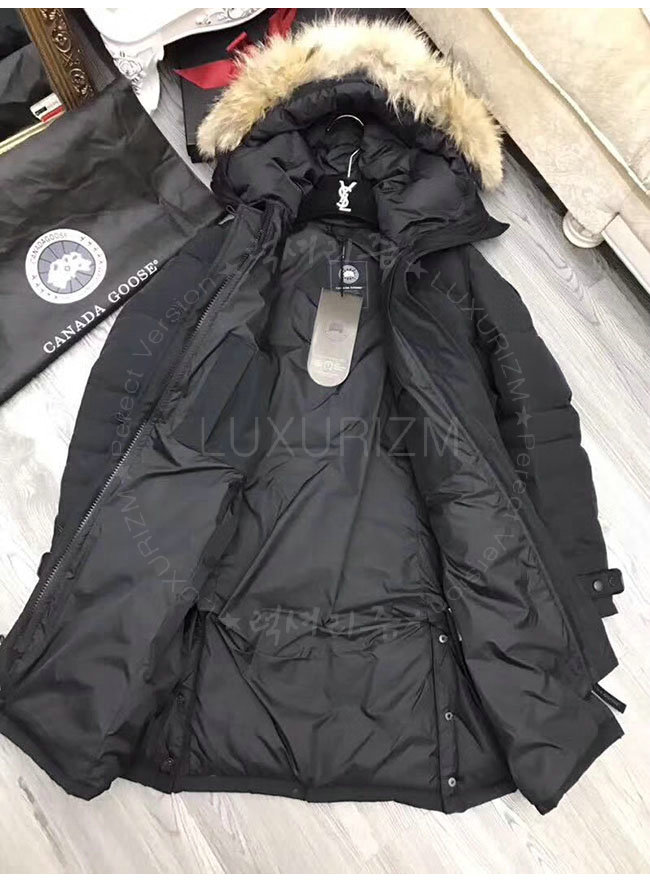 canada goose4-1107-7.jpg