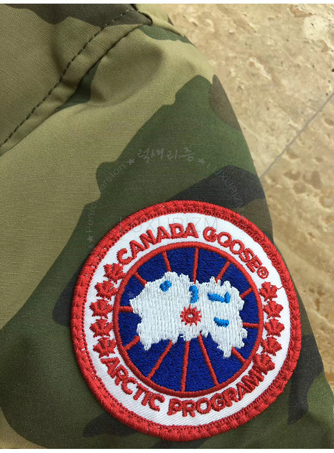 canada goose1-1108-10.jpg