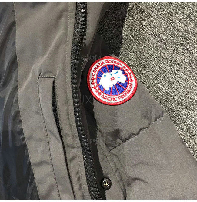 canada goose2-1108-8.jpg