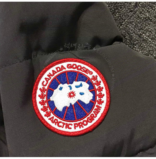 canada goose3-1108-7.jpg