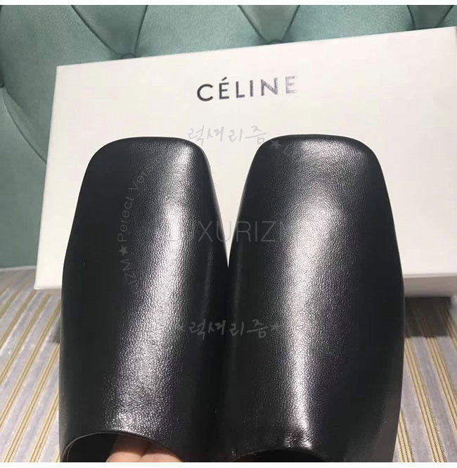 celine2-1211-7.jpg