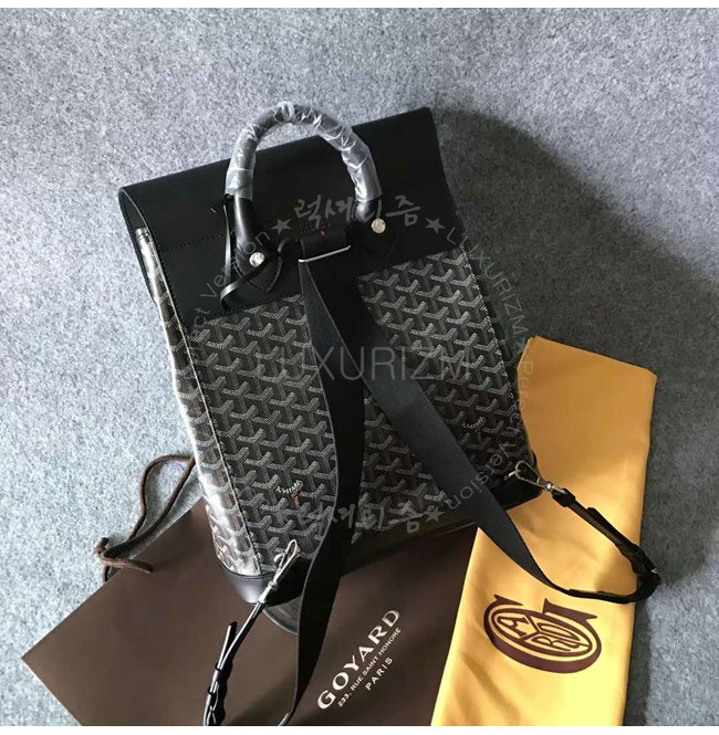 goyard2-0209-002.jpg