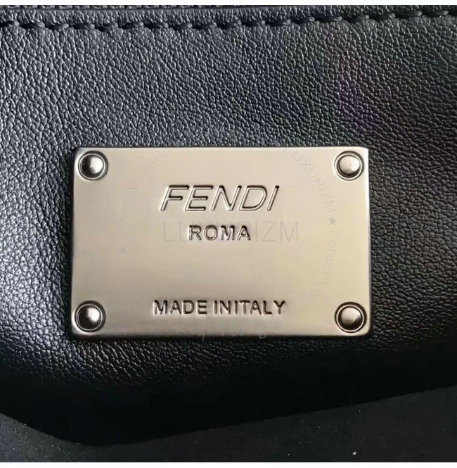 fendi4-0223-0010.jpg